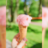 Book Irvey's Ice Cream Food Truck for Spring Events